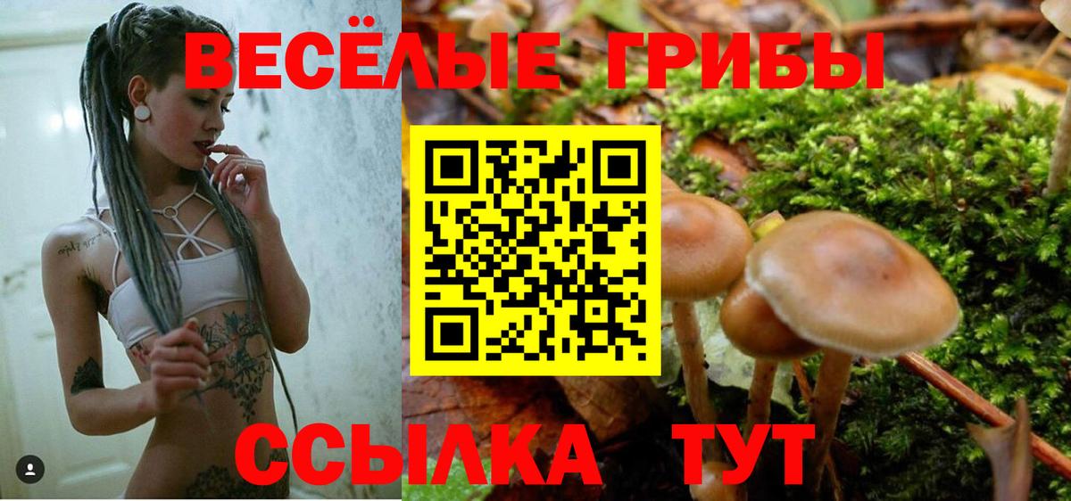 Псилоцибиновые грибы ЛСД Ревда