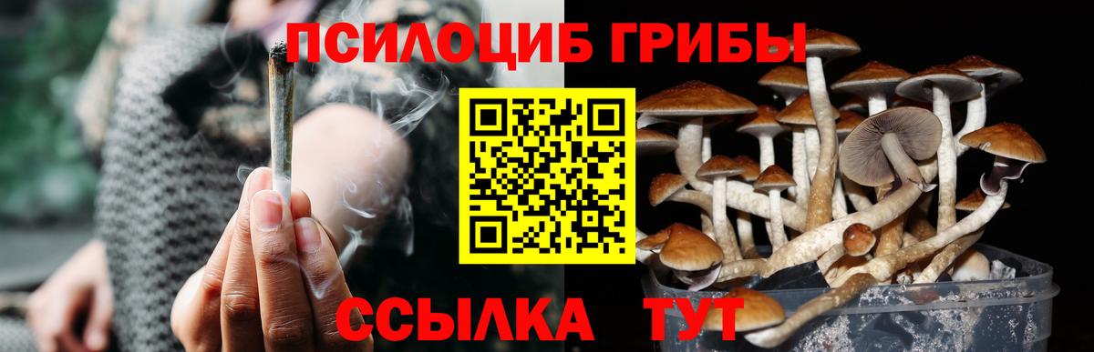 Ревда  Галлюциногенные грибы мухоморы  Вход с VPN 